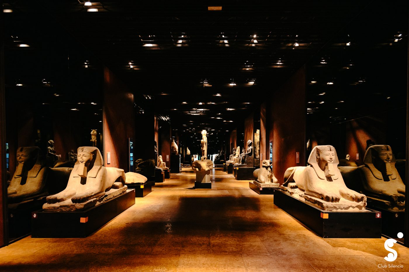 Una notte al un Museo Egizio