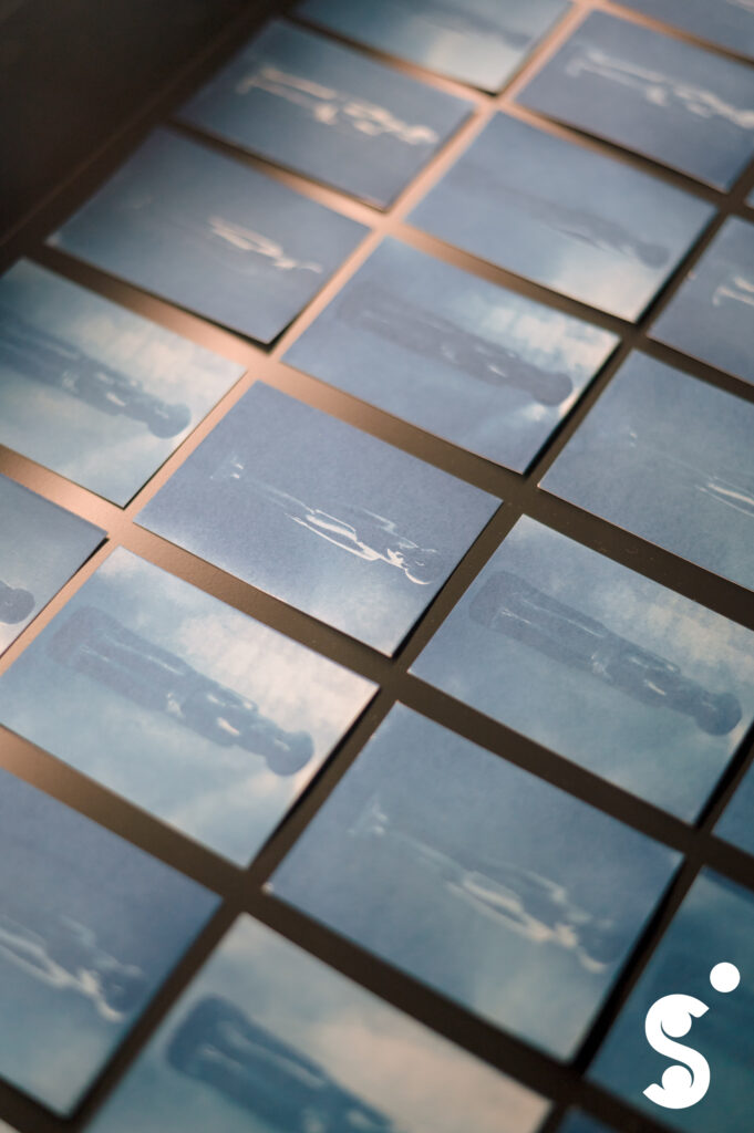 CS_CARIGNANO-EGIZIO_20251015_BestOfLoghi_STD0009